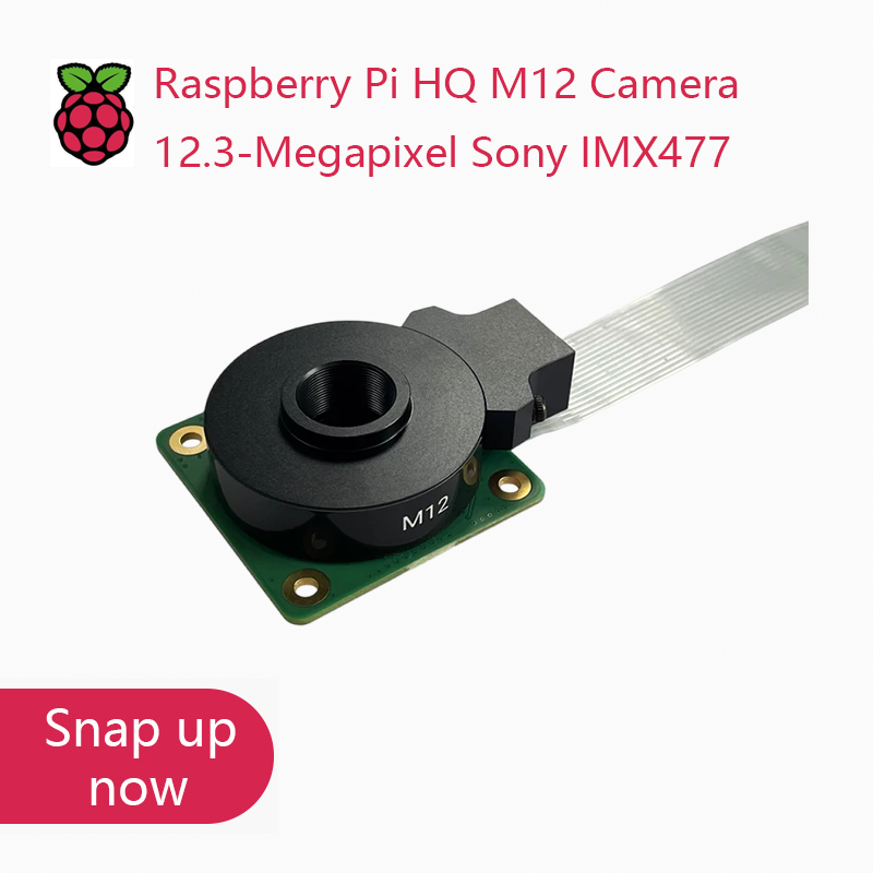 Nieuwe originele Raspberry Pi  - Raspberry Pi Global Shutter Camera Imx296 recensie en prijs